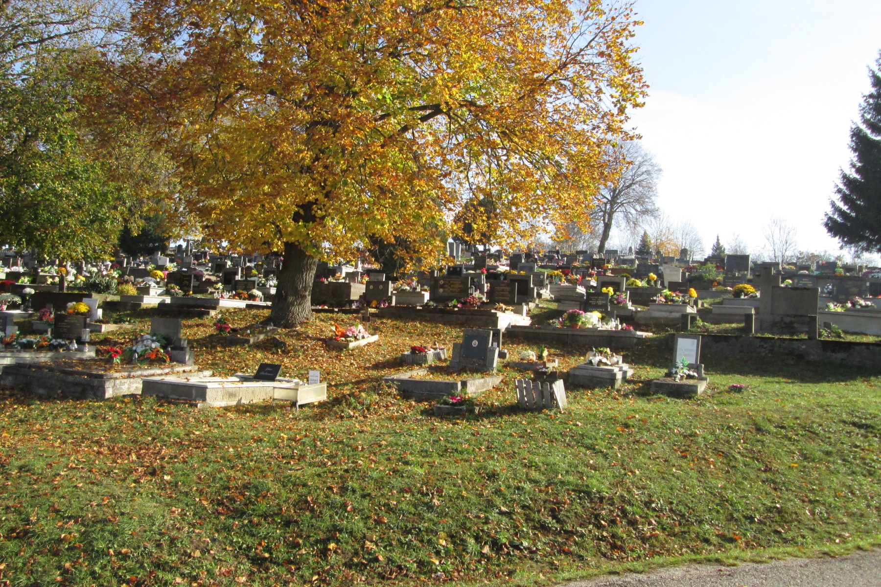 Myjavský cintorín